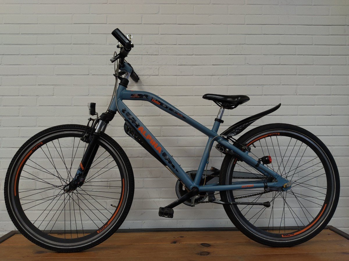 Alpina Trial Jongens Blauw 38cm 2019