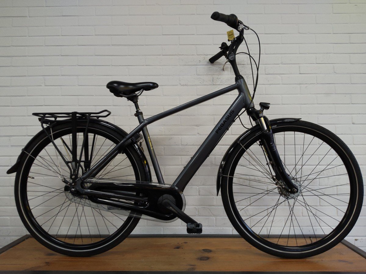 Pegasus Salerno 7 NL Heren Grijs 50cm 2024