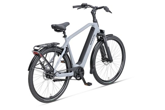 SPARTA D-RULE ENERGY Heren TYREGREY MATTE 65cm 2025