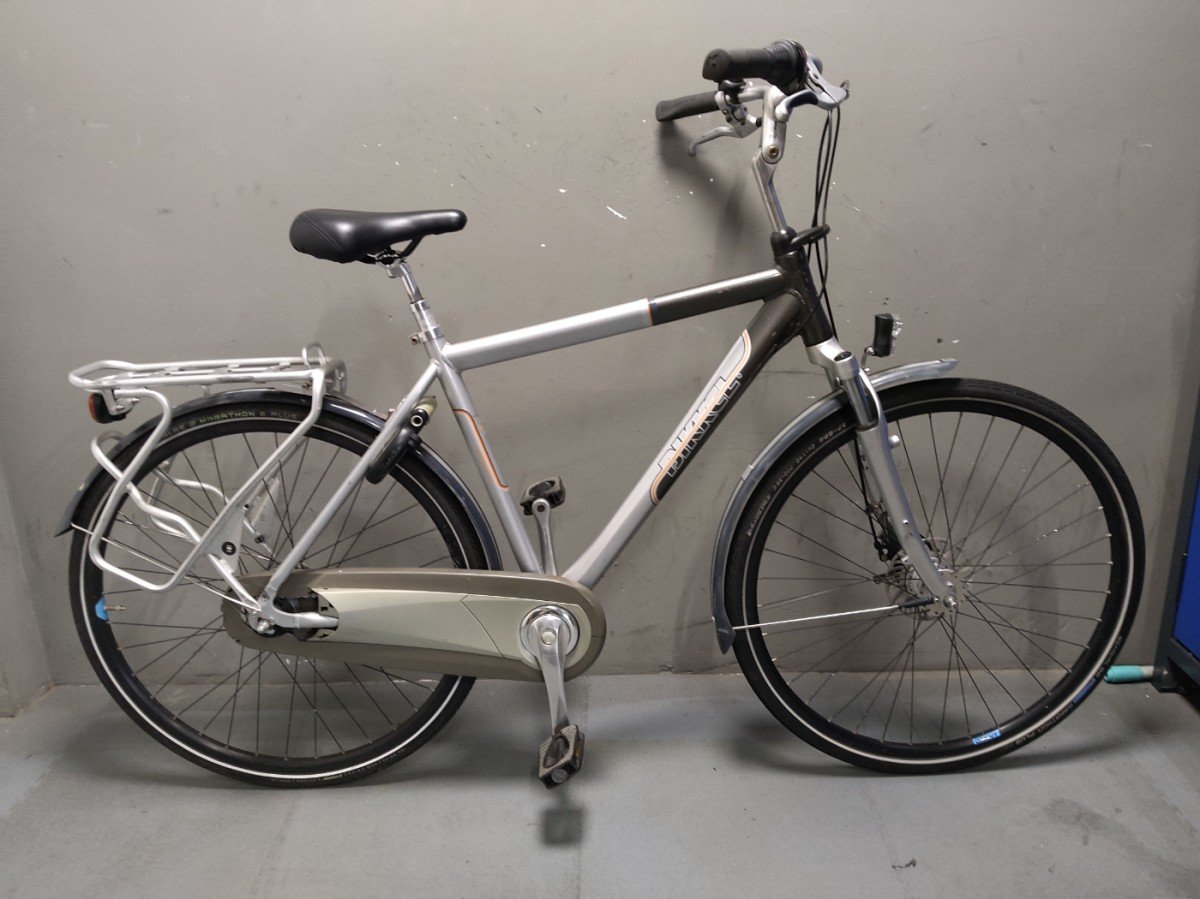 Bikkel Gouden Leeuw Heren Zilver 57cm 2018