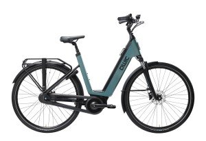 QWIC Mira Daily Low-step Sage-green L Lageinstap Sage Green L 54cm 2022