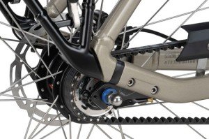 BATAVUS Finez E-Go Power Exclusiv, Champagne Goud Glans