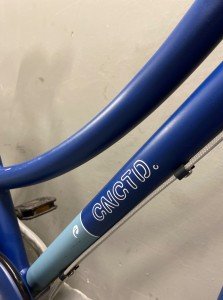 Batavus CNCTD, blauw