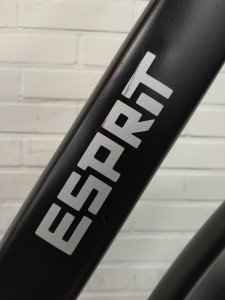 Gazelle ESPRIT H49 388 R7V Heren Mat zwart 49cm 2020