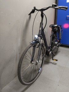 Hercules Sena Dames Zwart 50cm 2021