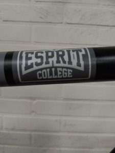 Gazelle Esprit Heren zwart / grijs 61cm 2015