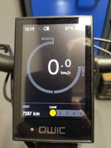 Qwic Premium I I-mn7 Dames Belt Walnut Brown 49cm 2021