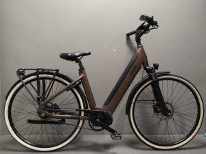 Qwic Premium I I-mn7 Dames Belt Walnut Brown 49cm 2021