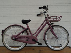 ALPINA Mood Meisjes Dark Mauve Matt 40cm 2021