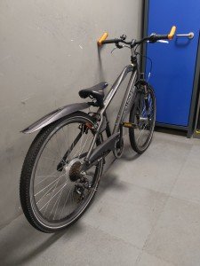 Alpina Trail Sport Jongens Space Black Zwart 40cm 2023
