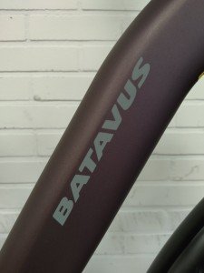 Batavus Finez E-G0-X Active Plus Dames Sangria-mat 53cm