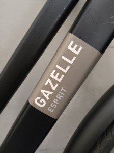 Gazelle Espirit Dames Zwart 50cm 2021