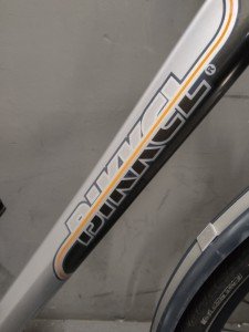 Bikkel Gouden Leeuw Heren Zilver 57cm 2018