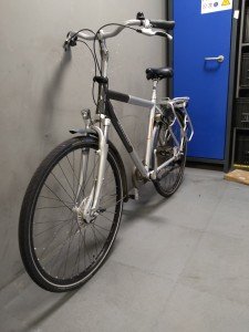 Bikkel Gouden Leeuw Heren Zilver 57cm 2018